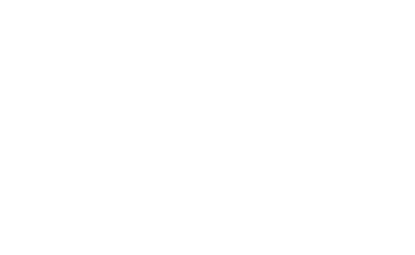 Hoi-Hoi